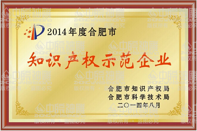 合肥市知识产权示范企业