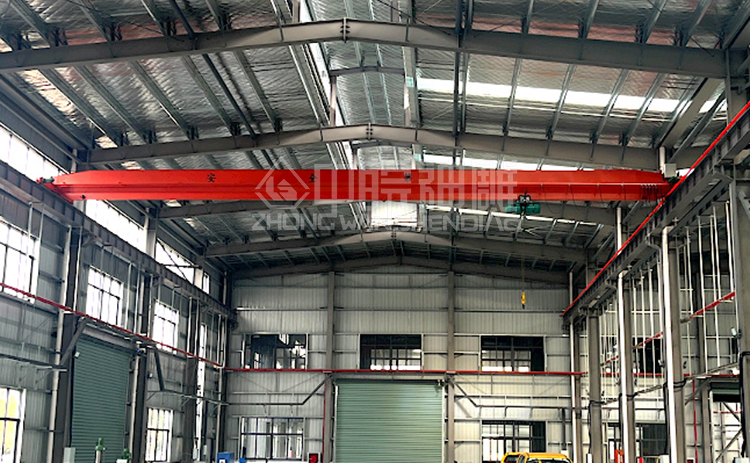 神雕5吨行吊案例实拍